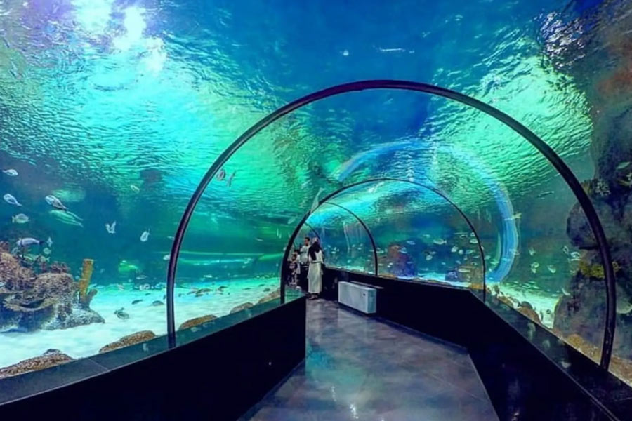 آکواریوم ناژوان اصفهان